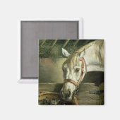 Paarden en kittens, 1890 magneet (Voorkant / Achterkant)