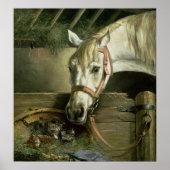 Paarden en kittens, 1890 poster (Voorkant)