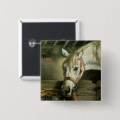 Paarden en kittens, 1890 vierkante button 5,1 cm (Voorkant /achterkant)