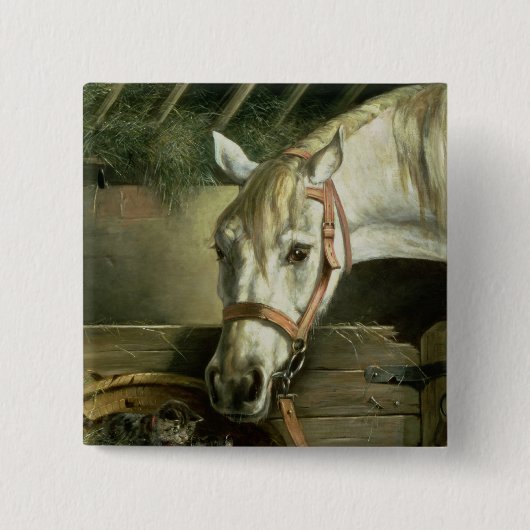 Paarden en kittens, 1890 vierkante button 5,1 cm (Voorkant)