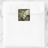 Paarden en kittens, 1890 vierkante sticker (Tas)