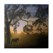 Paarden- en kousenboom in het zuidwesten van de zo tegeltje (Voorkant)