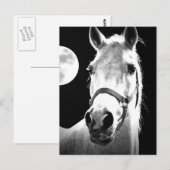 Paarden en maan briefkaart (Voorkant / Achterkant)