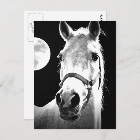 Paarden en maan briefkaart (Voorkant / Achterkant)