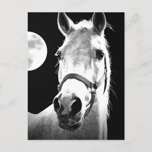 Paarden en maan briefkaart (Voorkant)