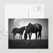 Paarden en maan briefkaart (Voorkant / Achterkant)