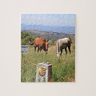 Paarden en merkplaatsen voor schelpen, El Camino,  Legpuzzel