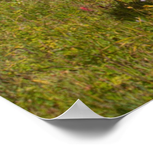 Paarden en muildieren poster (Hoek)