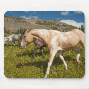 Paarden en Muilezels Muismat