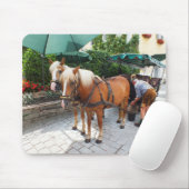 Paarden en onderstel muismat (Met muis)