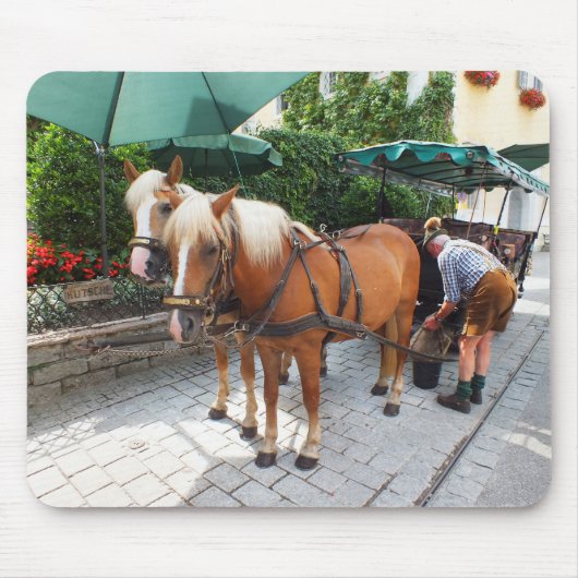 Paarden en onderstel muismat (Voorkant)