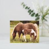 Paarden en Pony Briefkaart (Staand voorkant)
