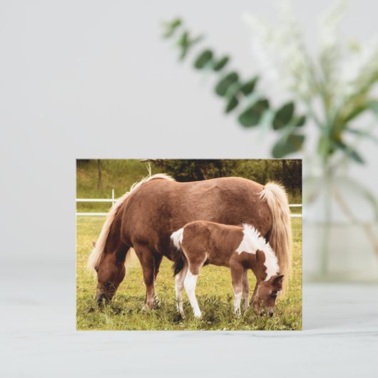 Paarden en Pony Briefkaart (Staand voorkant)
