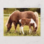 Paarden en Pony Briefkaart (Voorkant)