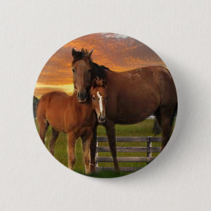 Paarden en pony ronde button 5,7 cm
