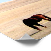 Paarden en Poster van windmolens (Hoek)