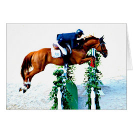 Paarden en Rider in de Jumper Ring