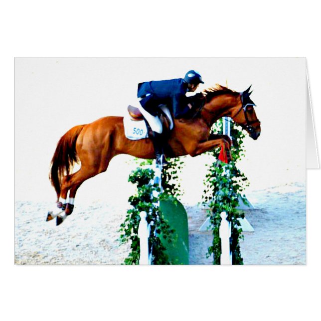 Paarden en Rider in de Jumper Ring (Voorkant Horizontaal)