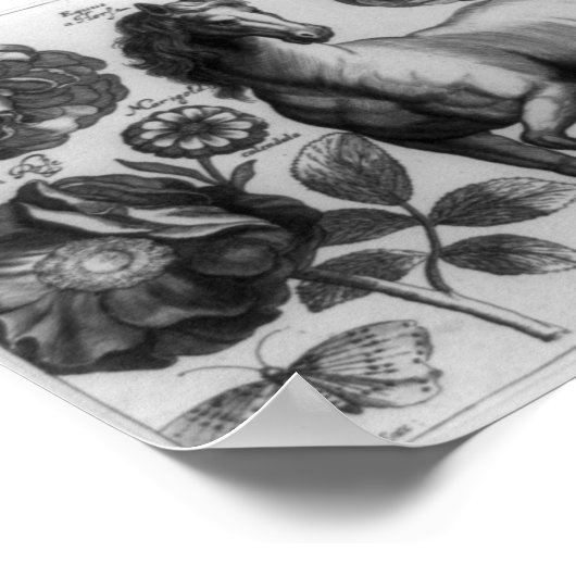 Paarden en Rozen Poster (Hoek)