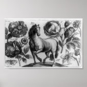 Paarden en Rozen Poster (Voorkant)