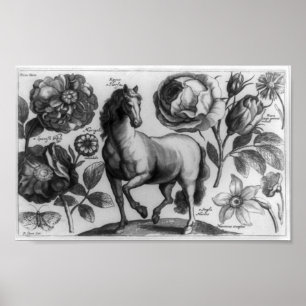 Paarden en Rozen Poster