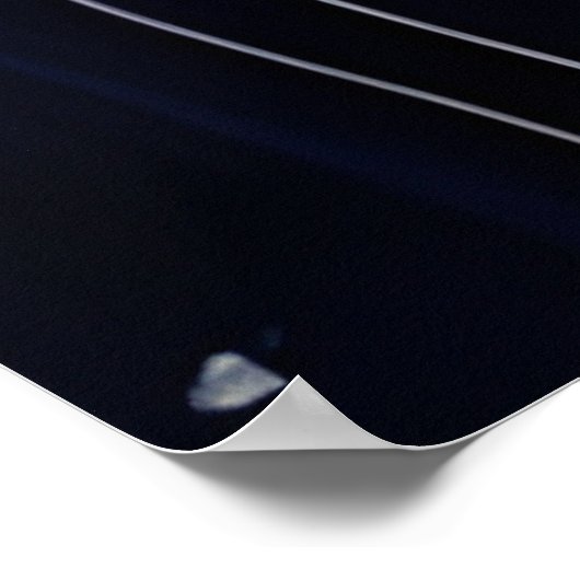 Paarden en Rozen Poster (Hoek)