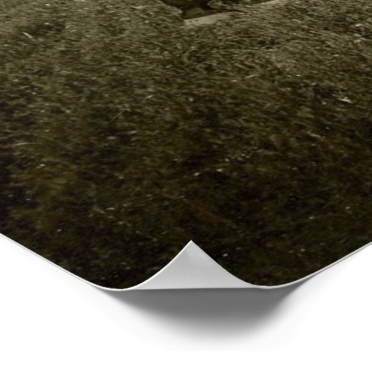 Paarden en schaduwen poster (Hoek)