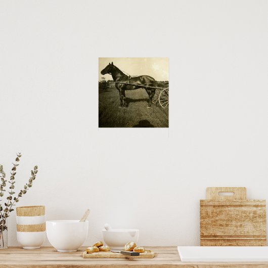 Paarden en schaduwen poster (Keuken)