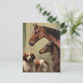 Paarden en Sint-Bernard  kunst Briefkaart (Staand voorkant)