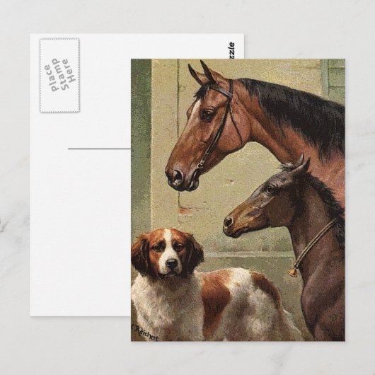 Paarden en Sint-Bernard  kunst Briefkaart (Voorkant / Achterkant)