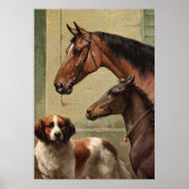 Paarden en Sint-Bernard  kunst Poster (Voorkant)