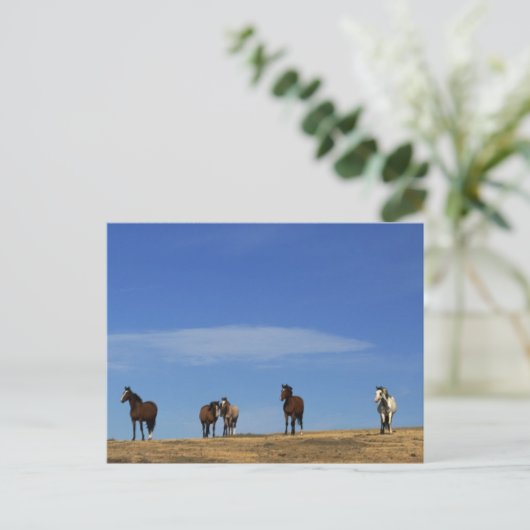 Paarden en Sky Briefkaart (Staand voorkant)