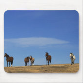 Paarden en Sky Muismat (Voorkant)