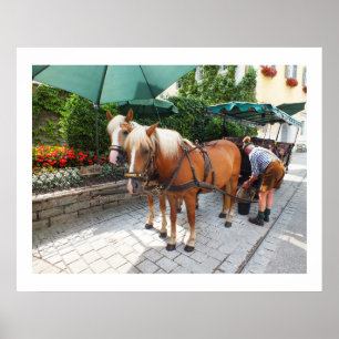 Paarden en vervoer in St. Wolfgang Poster