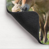 Paarden en veulen van Przewalski Muismat (Hoek)