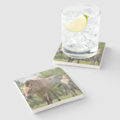 Paarden en veulen van Przewalski Stenen Onderzetter (Zijkant)