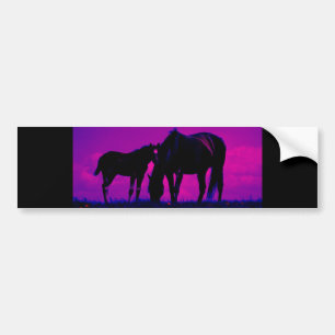 Paarden en vissen bumpersticker