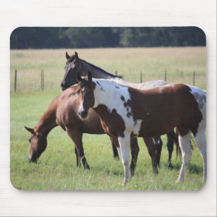 Paarden en vrienden verven muismat