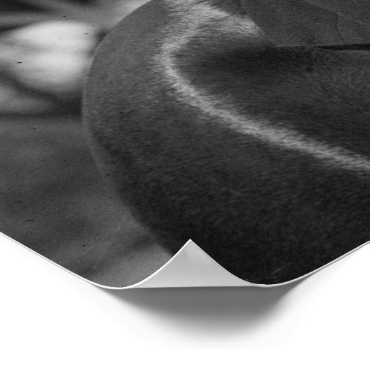  paarden en vrouwen 1912 poster (Hoek)