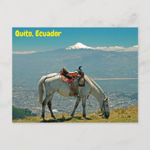 Paarden en vulkaan, Quito, Ecuador Briefkaart