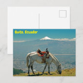 Paarden en vulkaan, Quito, Ecuador Briefkaart (Voorkant / Achterkant)
