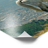 Paarden en vulkaan, Quito, Ecuador Foto Afdruk (Hoek)