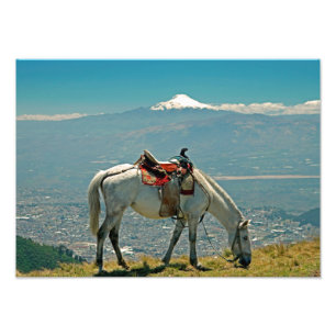 Paarden en vulkaan, Quito, Ecuador Foto Afdruk