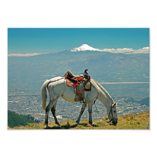 Paarden en vulkaan, Quito, Ecuador Foto Afdruk (Voorkant)