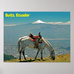 Paarden en vulkaan, Quito, Ecuador Poster
