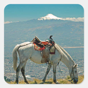 Paarden en vulkaan, Quito, Ecuador Vierkante Sticker