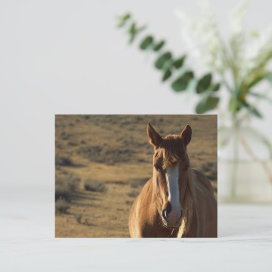 Paarden en Westerne achtergrond Briefkaart (Staand voorkant)