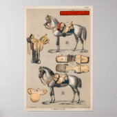 Paarden en zadels poster (Voorkant)