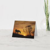 Paarden en zonsondergang diepste sympathie kaart (Voorkant)