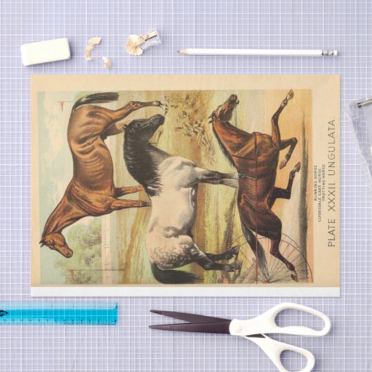 paarden Ephemera Decoupage Tissuepapier (Craft)